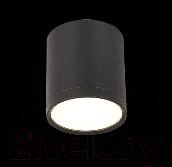 Изображение товара Точечный светильник ST Luce Rene ST113.442.05