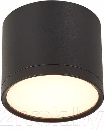 Изображение товара Точечный светильник ST Luce Rene ST113.442.09
