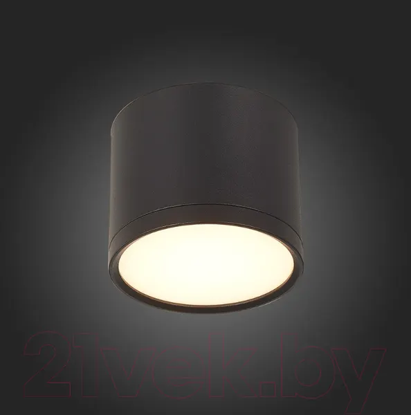 Изображение товара Точечный светильник ST Luce Rene ST113.442.09