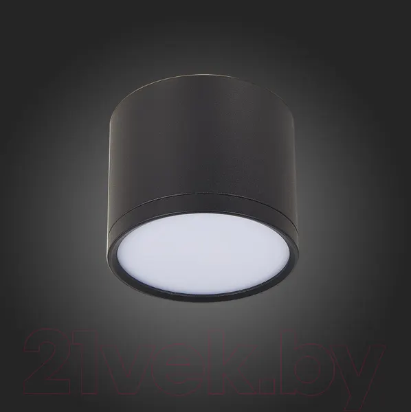 Изображение товара Точечный светильник ST Luce Rene ST113.442.09