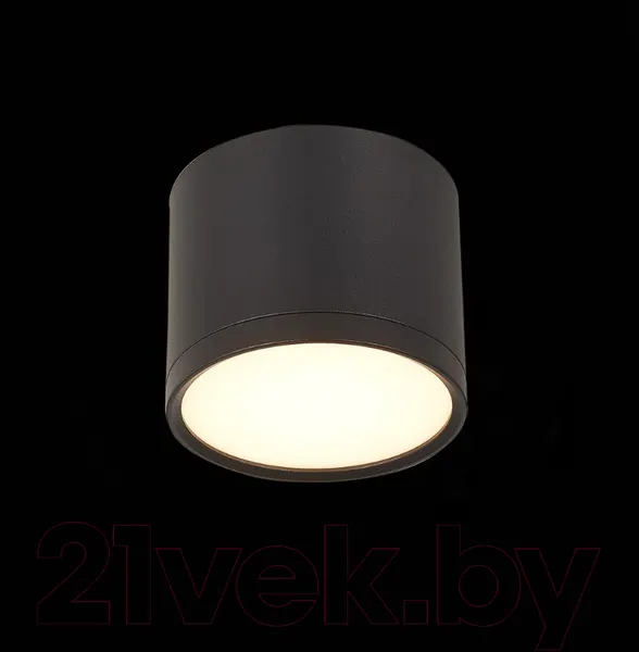 Изображение товара Точечный светильник ST Luce Rene ST113.442.09