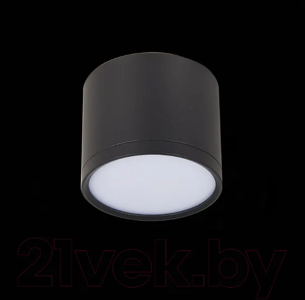 Изображение товара Точечный светильник ST Luce Rene ST113.442.09