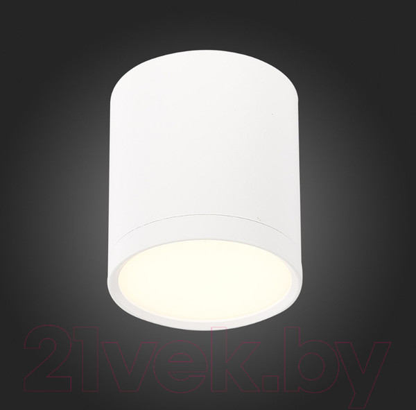 Изображение товара Точечный светильник ST Luce Rene ST113.532.05