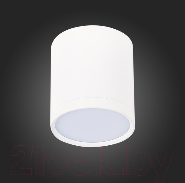 Изображение товара Точечный светильник ST Luce Rene ST113.532.05