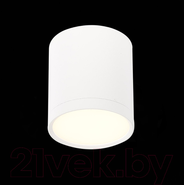 Изображение товара Точечный светильник ST Luce Rene ST113.532.05