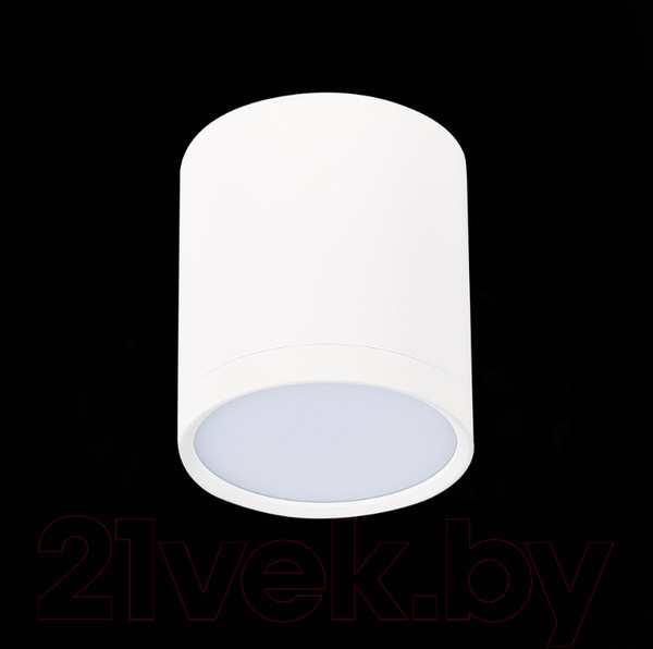 Изображение товара Точечный светильник ST Luce Rene ST113.532.05