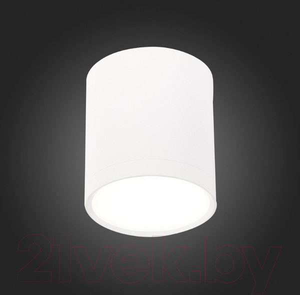 Изображение товара Точечный светильник ST Luce Rene ST113.542.05