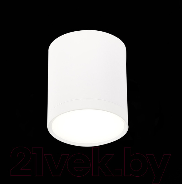 Изображение товара Точечный светильник ST Luce Rene ST113.542.05