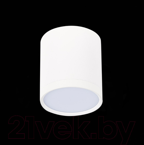 Изображение товара Точечный светильник ST Luce Rene ST113.542.05