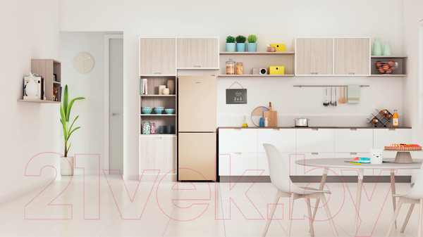 Изображение товара Холодильник с морозильником Indesit ITR 4160 E