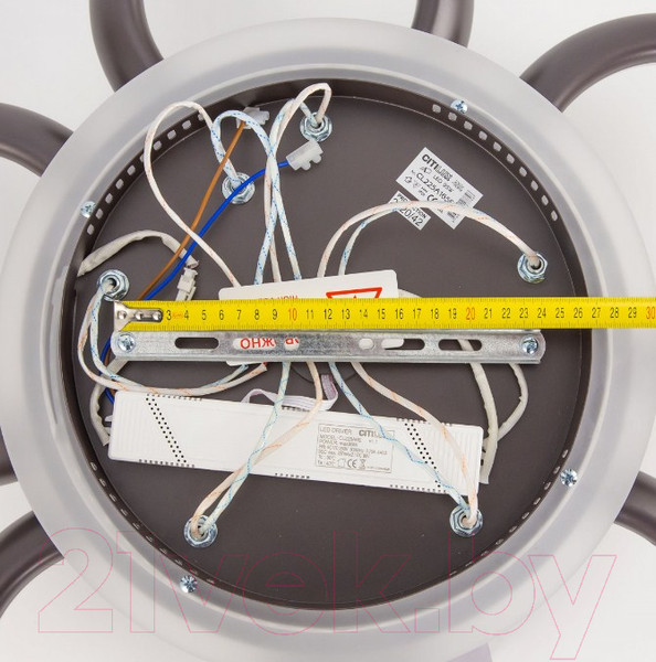 Изображение товара Потолочный светильник Citilux Паркер CL225A190E