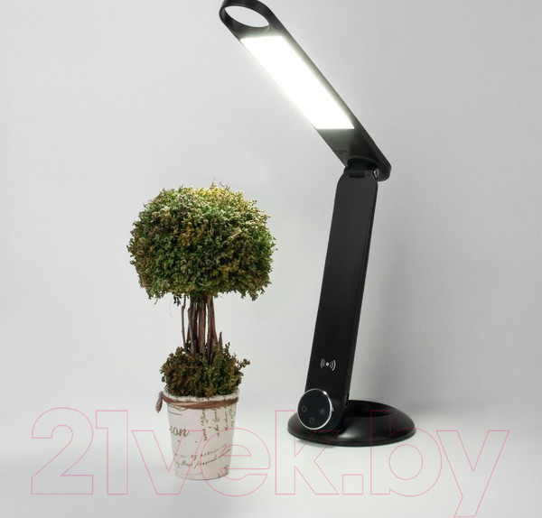 Изображение товара Настольная лампа Евросвет 80428/1 (черный)