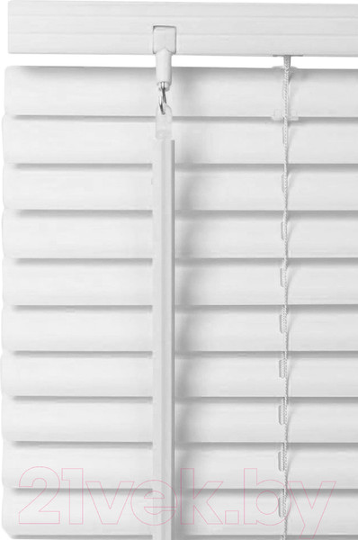 Изображение товара Жалюзи горизонтальные Эскар 40x160 / 6040160 (белый)