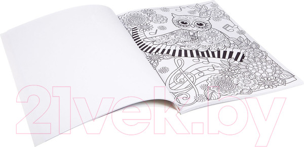 Изображение товара Раскраска-антистресс Bondibon Мистические совы / ВВ1979