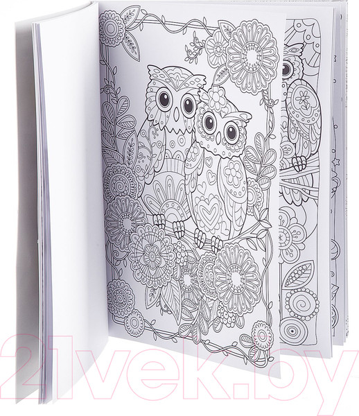 Изображение товара Раскраска-антистресс Bondibon Мистические совы / ВВ1979