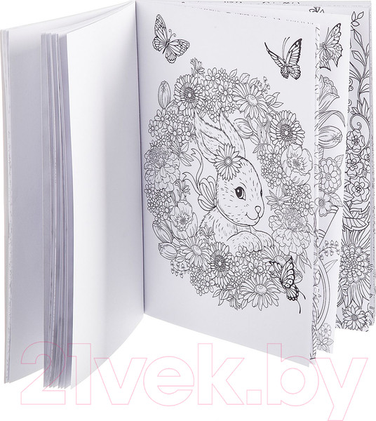 Изображение товара Раскраска-антистресс Bondibon Дыхание весны / ВВ1981