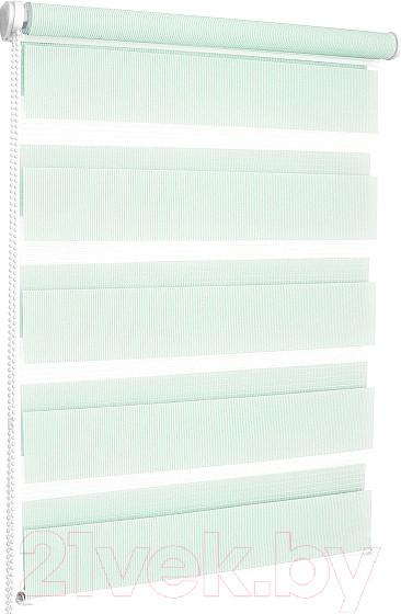 Изображение товара Рулонная штора Эскар День-Ночь 37x170 / 400504037 (мятный)