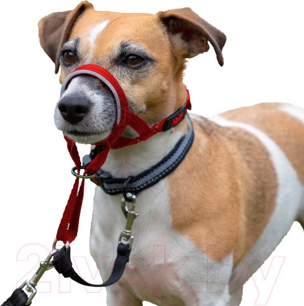 Изображение товара Недоуздок Halti Headcollar Size 1 11409/COA/HH014 (красный)