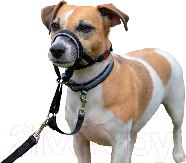 Изображение товара Недоуздок Halti Headcollar Size 2 12208/COA/11220A (черный)