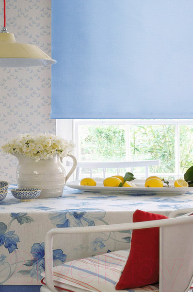 Изображение товара Рулонная штора Эскар 48x170 / 310050481701 (голубой)