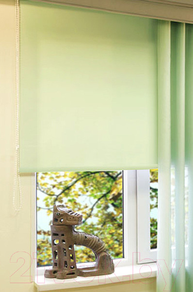 Изображение товара Рулонная штора Эскар 48x170 / 310170481701 (светло-зеленый)