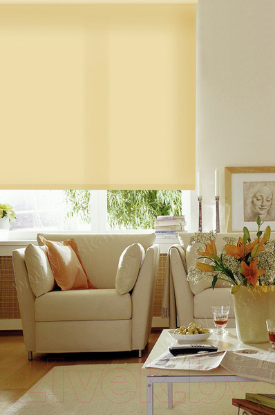 Изображение товара Рулонная штора Эскар 37x170 / 311120371701 (светлый абрикос)