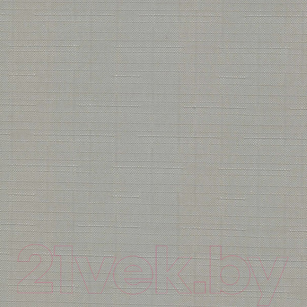 Изображение товара Рулонная штора Эскар 98x170 / 310200981701 (серый)