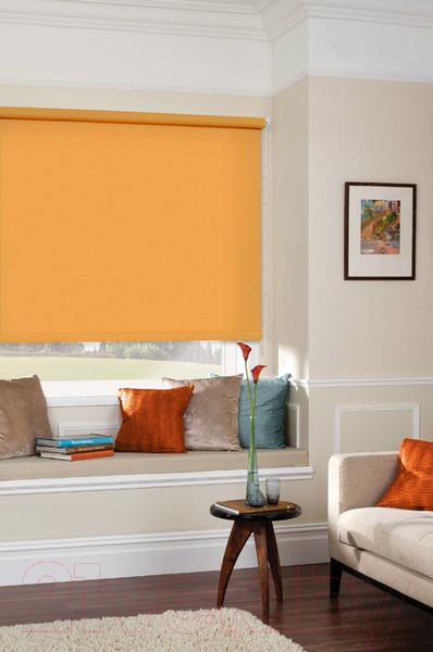 Изображение товара Рулонная штора Эскар 37x170 / 312030371701 (апельсиновый)