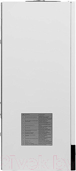 Изображение товара Газовый котел Mizudo M32TH