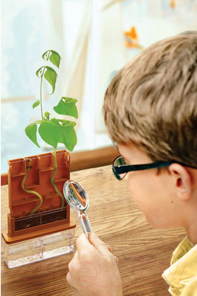 Изображение товара Набор для опытов ND Play Умные растения / 280351