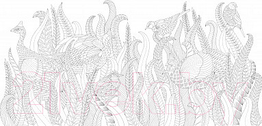 Изображение товара Книга Махаон Чудеса природы. Золотая коллекция любимых иллюстраций (Маротта М.)