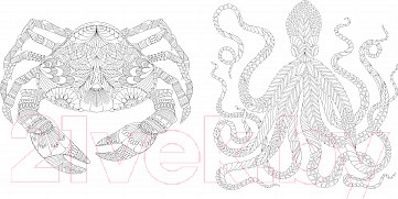 Изображение товара Книга Махаон Чудеса природы. Золотая коллекция любимых иллюстраций (Маротта М.)