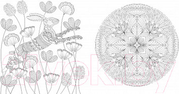Изображение товара Книга Махаон Чудеса природы. Золотая коллекция любимых иллюстраций (Маротта М.)