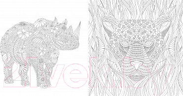 Изображение товара Книга Махаон Чудеса природы. Золотая коллекция любимых иллюстраций (Маротта М.)