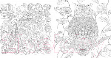 Изображение товара Книга Махаон Чудеса природы. Золотая коллекция любимых иллюстраций (Маротта М.)