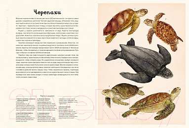 Изображение товара Энциклопедия Махаон Океанариум (Триник Л.)