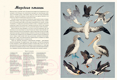 Изображение товара Энциклопедия Махаон Океанариум (Триник Л.)