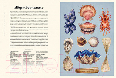 Изображение товара Энциклопедия Махаон Океанариум (Триник Л.)