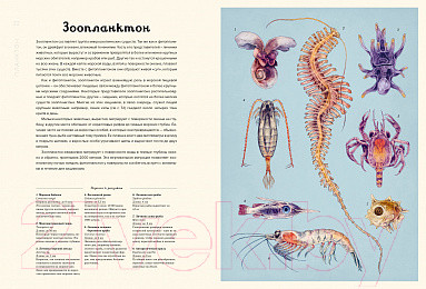 Изображение товара Энциклопедия Махаон Океанариум (Триник Л.)