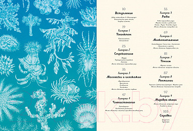 Изображение товара Энциклопедия Махаон Океанариум (Триник Л.)