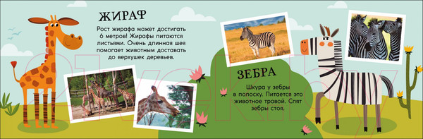 Изображение товара Книга-пазл Махаон Зоопарк. Поезд знаний (Стернберг А.)