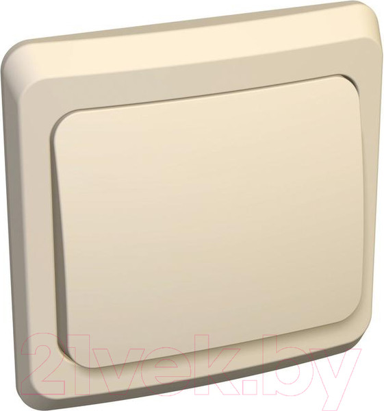 Изображение товара Выключатель Systeme (Schneider) Electric Этюд BC10-004K