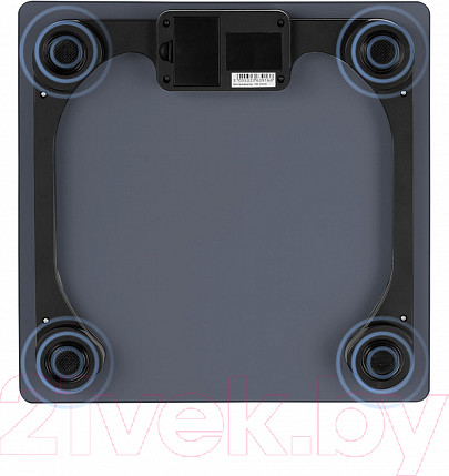 Изображение товара Напольные весы электронные Redmond RS-757 (серый)