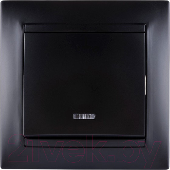 Изображение товара Выключатель TDM Лама SQ1815-0604 (графит)