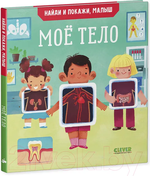 Изображение товара Развивающая книга CLEVER Найди и покажи, малыш. Мое тело (Парамонова А.)