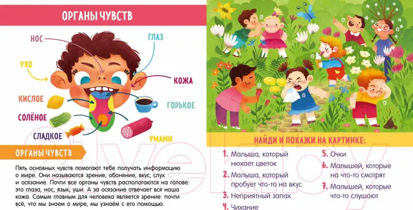 Изображение товара Развивающая книга CLEVER Найди и покажи, малыш. Мое тело (Парамонова А.)