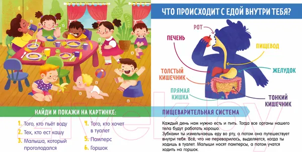 Изображение товара Развивающая книга CLEVER Найди и покажи, малыш. Мое тело (Парамонова А.)