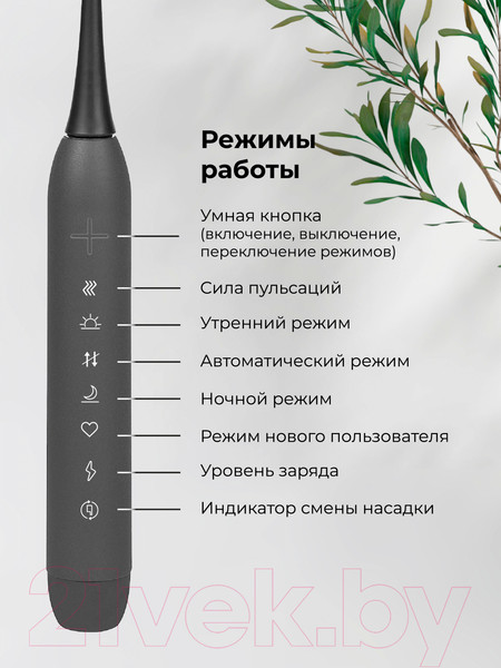 Изображение товара Звуковая зубная щетка Evolution TB-01