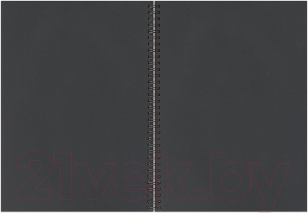 Изображение товара Скетчбук Brauberg Art / 128951 (черная бумага)