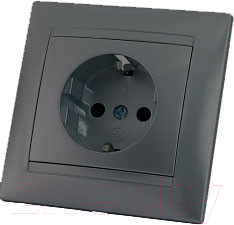 Изображение товара Розетка TDM Лама SQ1815-0623 (графит)